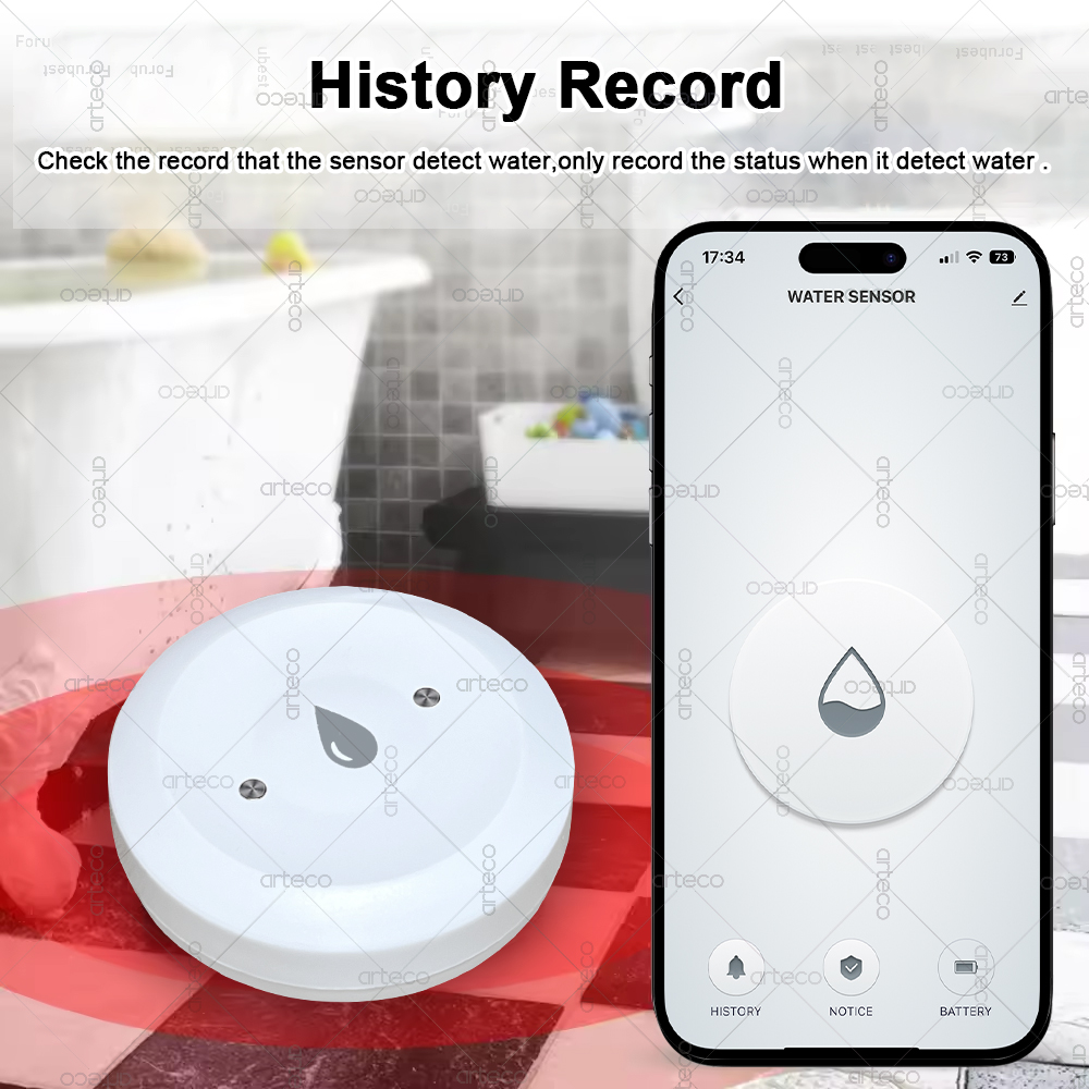 Tuya Smart Zigbee Water Sensor - Home Assistant Tuya recension och pris